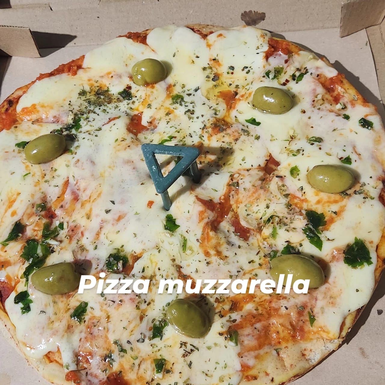 Pizza Muzzarella