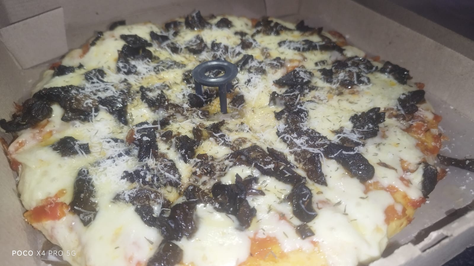 Champiñones XXXL Masa Madre Blanca